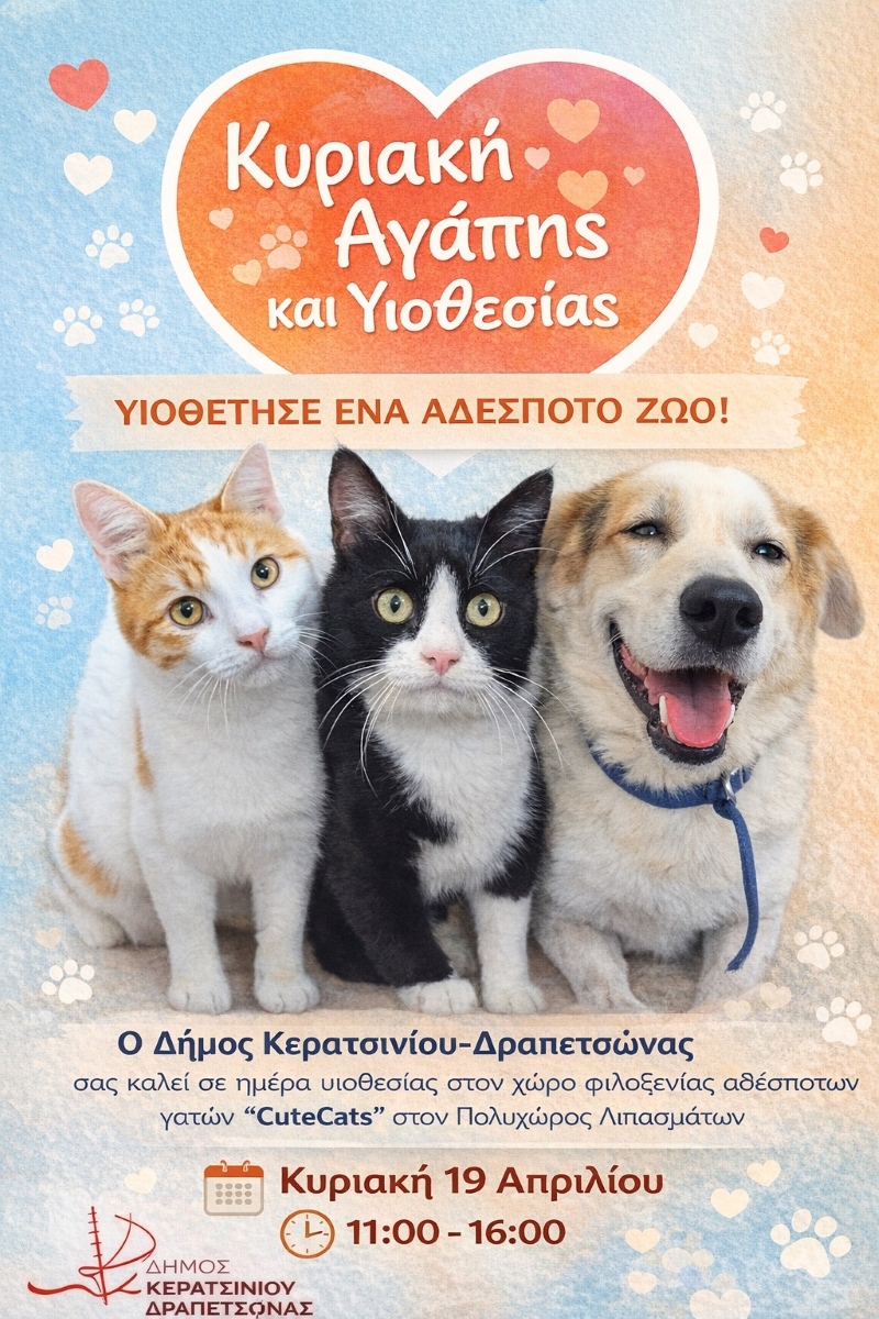 CuteCats