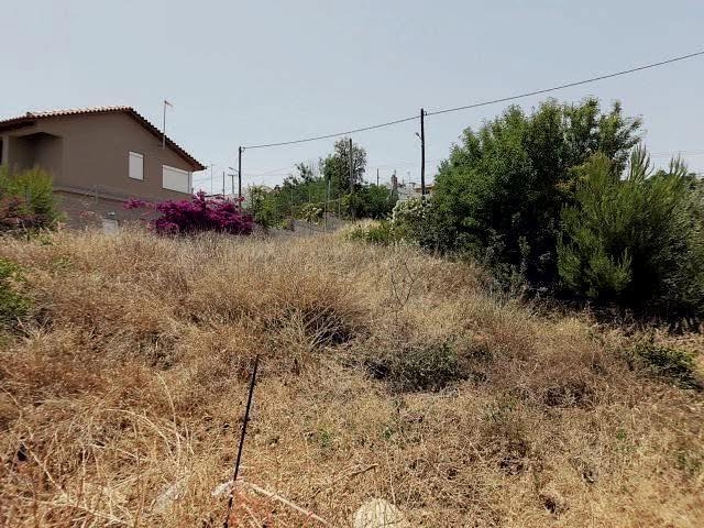 &Epsilon;&Nu;&Eta;&Mu;&Epsilon;&Rho;&Omega;&Sigma;&Eta; &Gamma;&Iota;&Alpha; &Tau;&Eta;&Nu; &Upsilon;&Pi;&Omicron;&Chi;&Rho;&Epsilon;&Omega;&Sigma;&Eta; &Kappa;&Alpha;&Theta;&Alpha;&Rho;&Iota;&Sigma;&Mu;&Omicron;&Upsilon; &Tau;&Omega;&Nu; &Omicron;&Iota;&Kappa;&Omicron;&Pi;&Epsilon;&Delta;&Iota;&Kappa;&Omega;&Nu; &Chi;&Omega;&Rho;&Omega;&Nu;