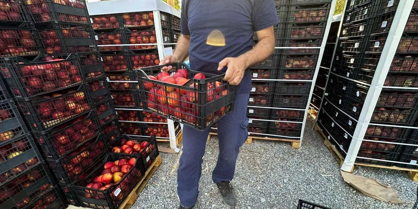 &Delta;&Iota;&Alpha;&Nu;&Omicron;&Mu;&Eta; &Nu;&Omega;&Pi;&Omega;&Nu; &Phi;&Rho;&Omicron;&Upsilon;&Tau;&Omega;&Nu; &Sigma;&Epsilon; &Pi;&Omicron;&Lambda;&Upsilon;&Tau;&Epsilon;&Kappa;&Nu;&Omicron;&Upsilon;&Sigma; &Kappa;&Alpha;&Iota; &Epsilon;&Upsilon;&Pi;&Alpha;&Theta;&Epsilon;&Iota;&Sigma; &Kappa;&Omicron;&Iota;&Nu;&Omega;&Nu;&Iota;&Kappa;&Epsilon;&Sigma; &Omicron;&Mu;&Alpha;&Delta;&Epsilon;&Sigma;
