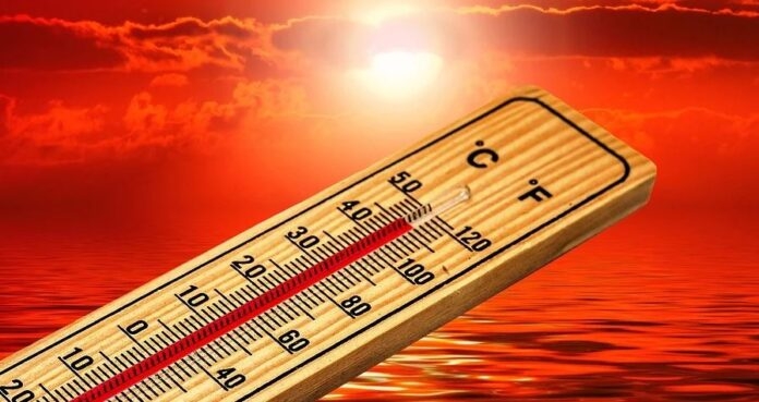 &Delta;&Rho;&Alpha;&Sigma;&Eta; &Gamma;&Iota;&Alpha; &Tau;&Omicron;&Upsilon;&Sigma; &Alpha;&Sigma;&Tau;&Epsilon;&Gamma;&Omicron;&Upsilon;&Sigma; &Epsilon;&Nu; &Omicron;&Psi;&Epsilon;&Iota; &Kappa;&Alpha;&Upsilon;&Sigma;&Omega;&Nu;&Alpha;