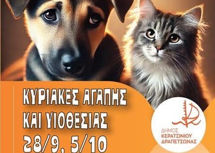 &Kappa;&Upsilon;&Rho;&Iota;&Alpha;&Kappa;&Epsilon;&Sigma; &Upsilon;&Iota;&Omicron;&Theta;&Epsilon;&Sigma;&Iota;&Alpha;&Sigma; &Alpha;&Delta;&Epsilon;&Sigma;&Pi;&Omicron;&Tau;&Omega;&Nu;